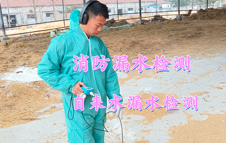 上海专业漏水检测公司